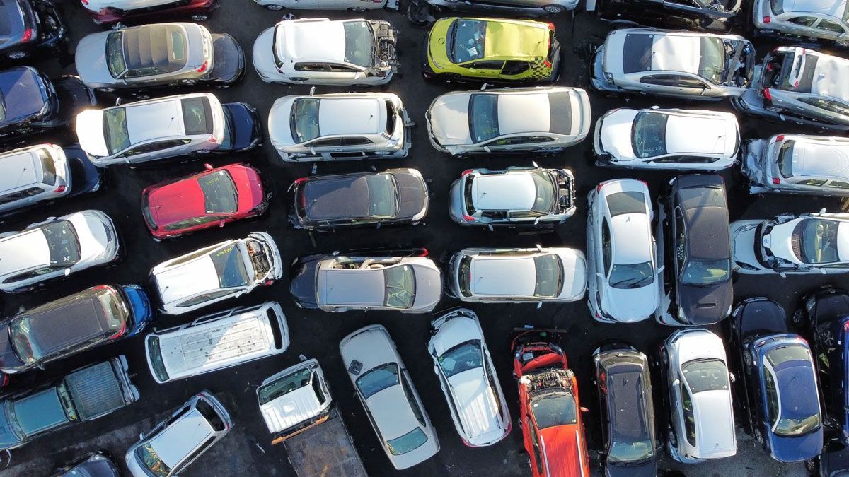 All Vehicle Types Collected
